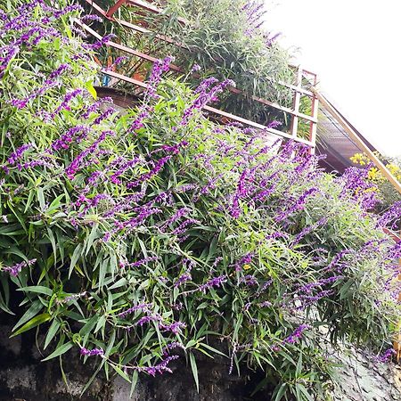 Sapa Tatu Homestay Kültér fotó