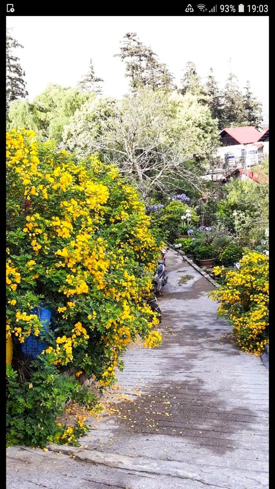 Sapa Tatu Homestay Kültér fotó